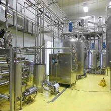 condensed milk plants