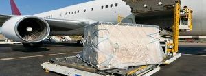 Air Cargo Fumigation Services