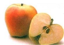 Apple Seed Extract Powder
