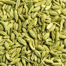 Fennel Seed Oil