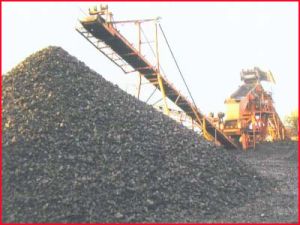 Steam Coal