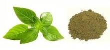 Tulsi Powder