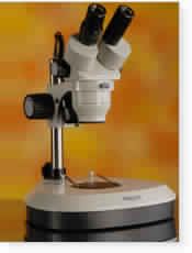 Zoom Stereo Microscope