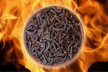 Biomass Pellet