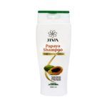 Ayurveda Papaya Shampoo