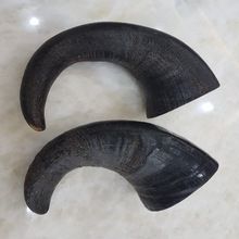 WATER BUFFALO HORN CHEWS