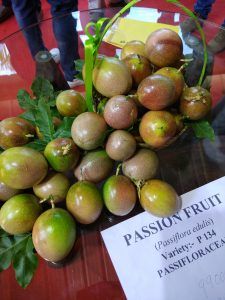 Fresh Passion Fruit