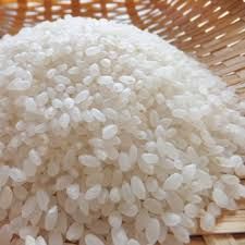 Short Grain White Rice