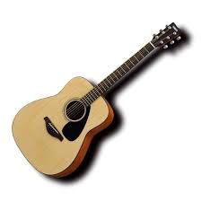 Acoustic Guitar