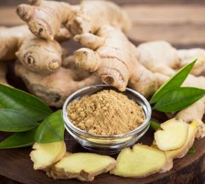 GINGER HERBS