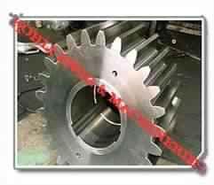 Spur Gear