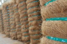 Coir Fiber