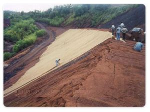 Coir Geo Textiles