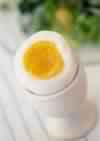 DRIED EGG