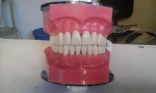 Dental Diagnostic Set