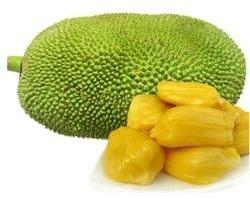 Organic Jackfruit