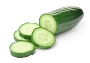 european cucumber