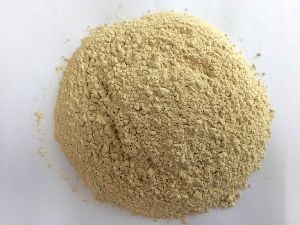 Dehydrated Garlic Powder