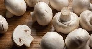 Button Mushroom