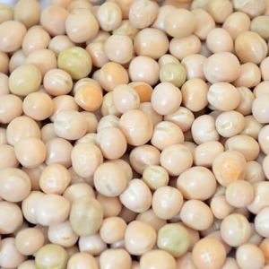 White Chickpeas