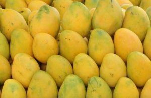 Fresh Mango