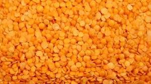 Red Split Lentils