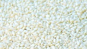 White Sortex Sesame Seeds