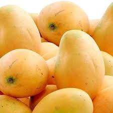 Organic Mango