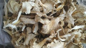 Dry Oyster Mushroom