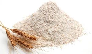 Whole Wheat Flour