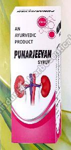 Punarjeevan Kidney Care Syrup