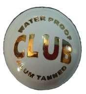 Club White Cricket Ball