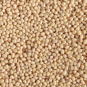 Washed Urad Dal