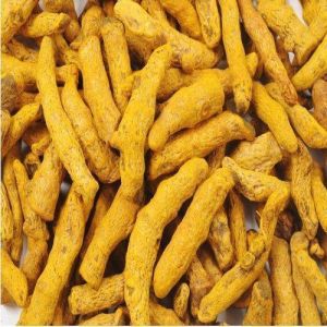 dried turmeric finger