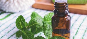 Mentha Oil