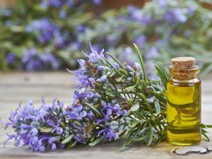 Rosemary Oil