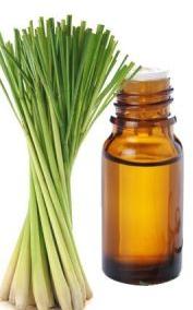 Organic Lemongrass Oil