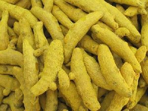 Organic Turmeric Finger