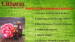 Rose Geranium Essentail Oil - Citspray