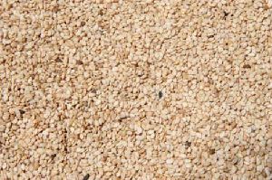 raw sesame seeds