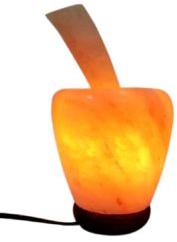 Himalayan Salt Lamp Apple Shaped