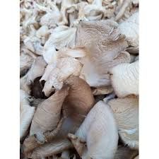 Dried Grey Oyster Mushrooms