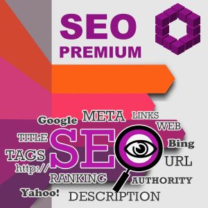 seo consultation service