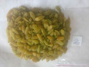 Greenish Sonaka Raisins