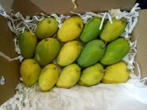 Fresh Badami Mango