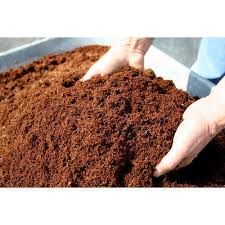 coir powder