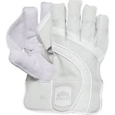 Wicket Keeping Gloves