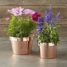 Flower Pot