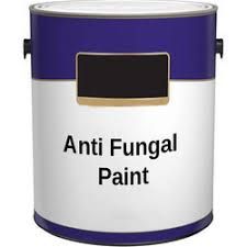 Anti Fungal Coatings