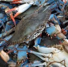 Fresh Blue Crab